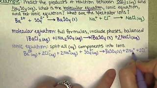 Chem121 Precipitation Reaction Spectator Ions and Net Ionic Equations 83 [upl. by Gomez]