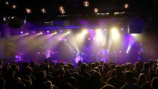 Dogs in a Pile w Enhanced Audio Full s2 in 4K  Brooklyn Bowl Philly  20241026 [upl. by Loralee882]