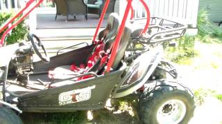 Hammerhead GTS Platinum Go kart review read description [upl. by Oivat]