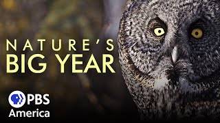 Natures Big Year FULL SPECIAL  PBS America [upl. by Strohl]