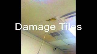 Damaged Ceiling Tiles [upl. by Dulla]