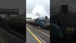 4464 quotBitternquot 10yearsago short steamtrain steam train railway railtour shortvideo shorts [upl. by Artemis373]