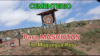 CEMENTERIO DE MASCOTAS [upl. by Daveta]