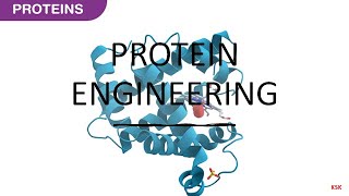 Protein Engineering [upl. by Nahta]