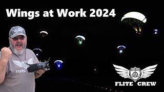 Wings at Work 2024 [upl. by Otilia]