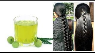 How to Make Amla Hair oil at Home  Grow your hair longer and Stop Grey Hair Very Fast [upl. by Aehsila124]