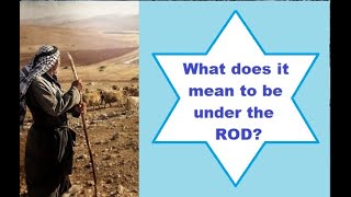 Passing under the Shepherds Rod Rosh Hashanah [upl. by Kobylak]