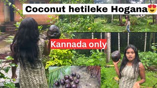 Coconut Hetileke Hogana😂Rakshita Kannada Talks coconut kannadavlogs rakshita mangalore [upl. by Dumas]