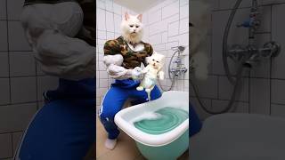 The Kittens Mess 🐱💧 Digging Trouble and a Soaked CleanUp 🌊🛁cattales catfunny animationcat [upl. by Chappell]