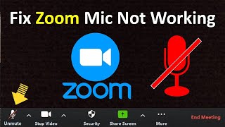 How to Fix Zoom Microphone Not Working Problem in Windows 11 [upl. by Wylma2]