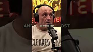 Joe Rogan on Meldrick Taylors Brain Damage [upl. by Ramalahs]