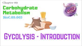 BioC09003Glycolysis 110 – Introduction  Dr Prashant Sharma [upl. by Arjun649]