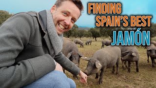 Where Does Spains Best Jamón Come From [upl. by Halil]