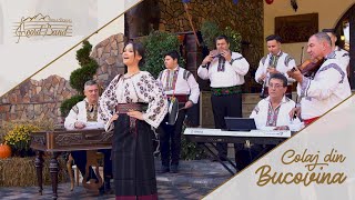 Acord Band Vatra Dornei  Colaj din Bucovina [upl. by Nael]