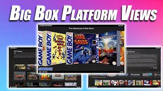 Setting Up Different Views For Each Platform  LaunchBox Big Box Tutorial [upl. by Ethban]