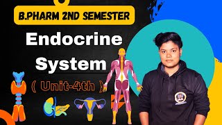 The Endocrine System And Exocrine System Complete Details In Hindi [upl. by Siul]