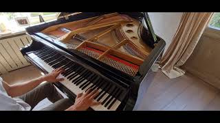 688 notes in under 1 minute  Tchaikovsky orchestra version to piano solo part I [upl. by Sukcirdor]