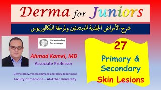 027 Primary and Secondary Skin Lesions [upl. by Arelus]