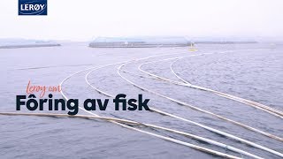 Lerøy om fôring av fisk [upl. by Hsekin364]