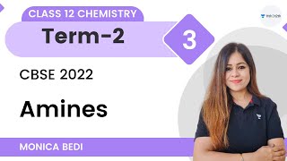 Amines  L3  Term 2  Class 12 Chemistry  Monica Bedi [upl. by Jezabella355]