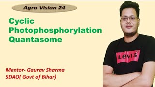 Cyclic Photophosphorylation  Quantasome  Light Reaction  Photosynthetic Unit [upl. by Sayles]