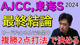 【AJCC】【東海S】 最終結論 複勝2点打法でいけるんじゃない？ [upl. by Box]