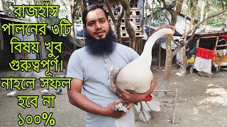 রাজহাঁস পালনের নিয়ম কারণ। raj hash palon korar niom karon chitrapurikrishichita [upl. by Chinua]