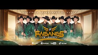 LA HUARACHA  Faisanes De Linares Video Oficial [upl. by Swords240]