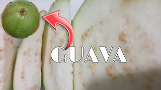 SLICING GUAVA fruit trendingvideo satisfying delicious viralvideo cuttingfruit [upl. by Kironde]