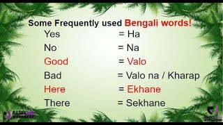 Learn Some Frequently Used Bengali Words in English Part 1 [upl. by Bettina689]