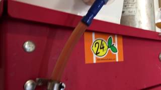 Closed transfer beer from plastic fermenter to keg [upl. by Angelika]