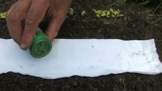 Tricks For Sowing Small Seed [upl. by Gaiser]