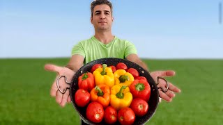 Yummy Dolma  Stuffed Bell Peppers and Tomatoe [upl. by Tierney]