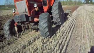 Belarus MTZ 80 in aratura [upl. by Malek]