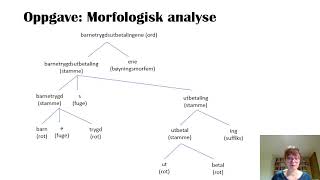 Morfologi [upl. by Anileuqcaj]