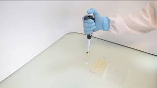 Readytouse agar dilution panels Test Procedure [upl. by Aiouqes]