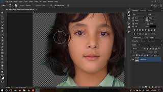 Refine Edge Brush tool In Photoshop Cc 2018 [upl. by Hokanson261]