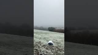 Snow falling in The Countryside Somerset England Today [upl. by Towbin]