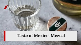 Taste of Mexico Mezcal [upl. by Oelak]