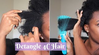 Do This Before You Wash Your Hair Detangle Dry 4C Hair [upl. by Cud]