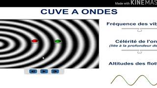 Stroboscopie et déphasage dans le cas dune onde mécanique à la surface de leau [upl. by Modnarb683]