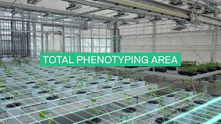 FieldScan Syngenta Biologicals  High Throughput phenotyping for biostimulant research [upl. by Anifares]