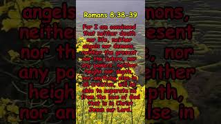 Romans 83839 loveofgod [upl. by Iolanthe]