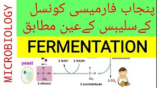 Introduction to Fermentation in Urdu PART1  pharmacy technician guide by hzk [upl. by Tnaryb]