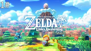 Links awakening in 2024 is so fun [upl. by Pinkham]