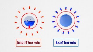 Endothermic and Exothermic Reactions [upl. by Benioff]