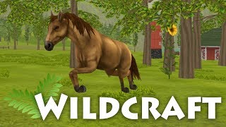 Life As A Wild Horse 🌿 WildCraft • 2 [upl. by Nader]