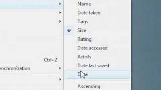 How to arrange files and folders in a custom sort by filter [upl. by Nnyliram322]