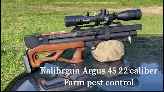 Kalibrgun Argus 45 22 caliber farm pest control kalibrgun kalibrgunairgun kalibrgunargus45 [upl. by Trilby]