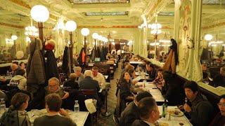 French brasseries Where tradition is on the menu • FRANCE 24 English [upl. by Eugaet495]